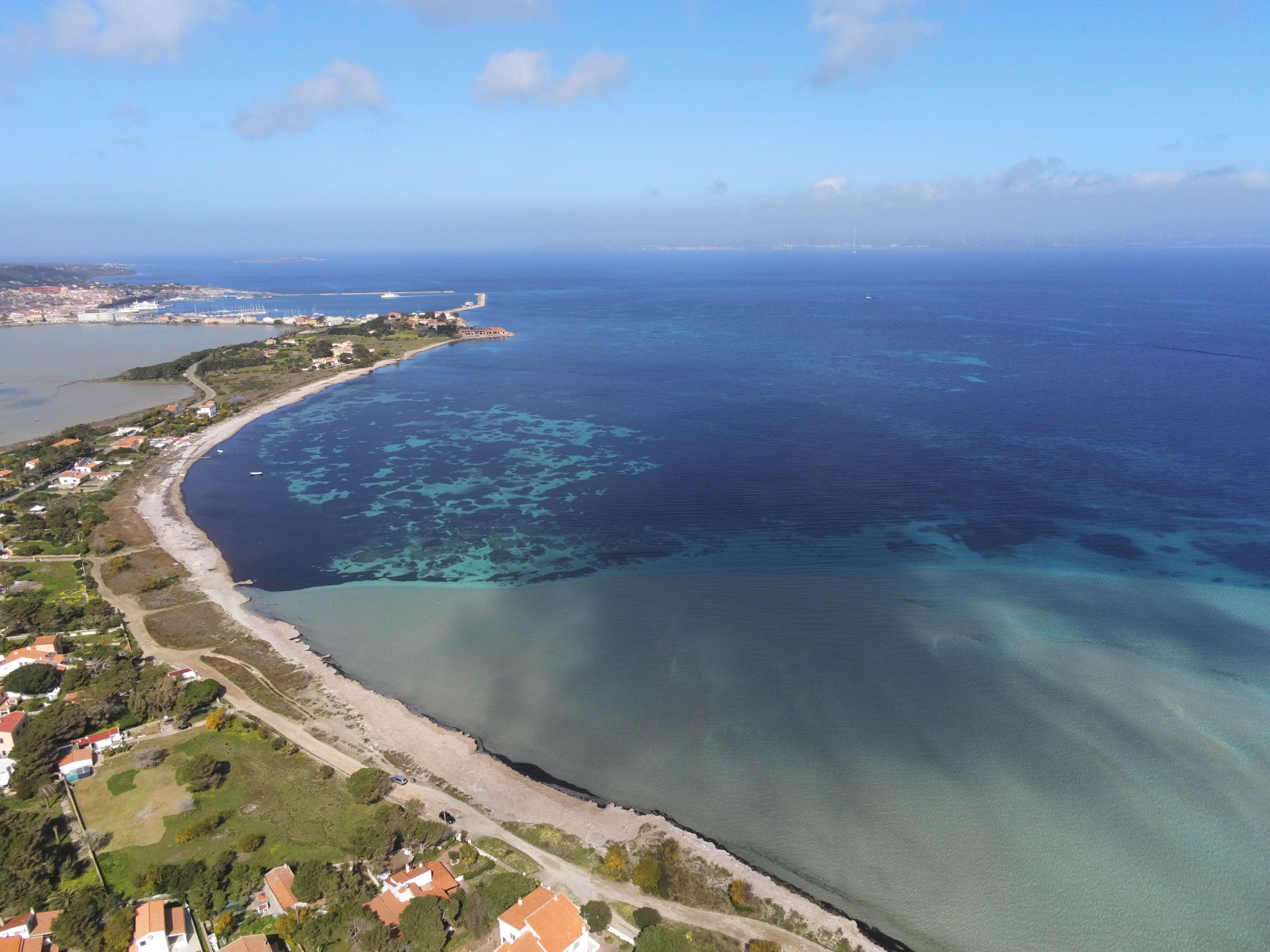 Sabbia e posidonia di Delia Chiappe