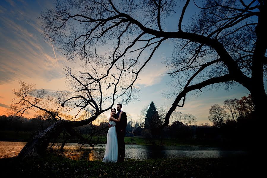 Fotografo di matrimoni Natalya Volkova (nativolk). Foto del 2 novembre 2015