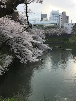 酷い！