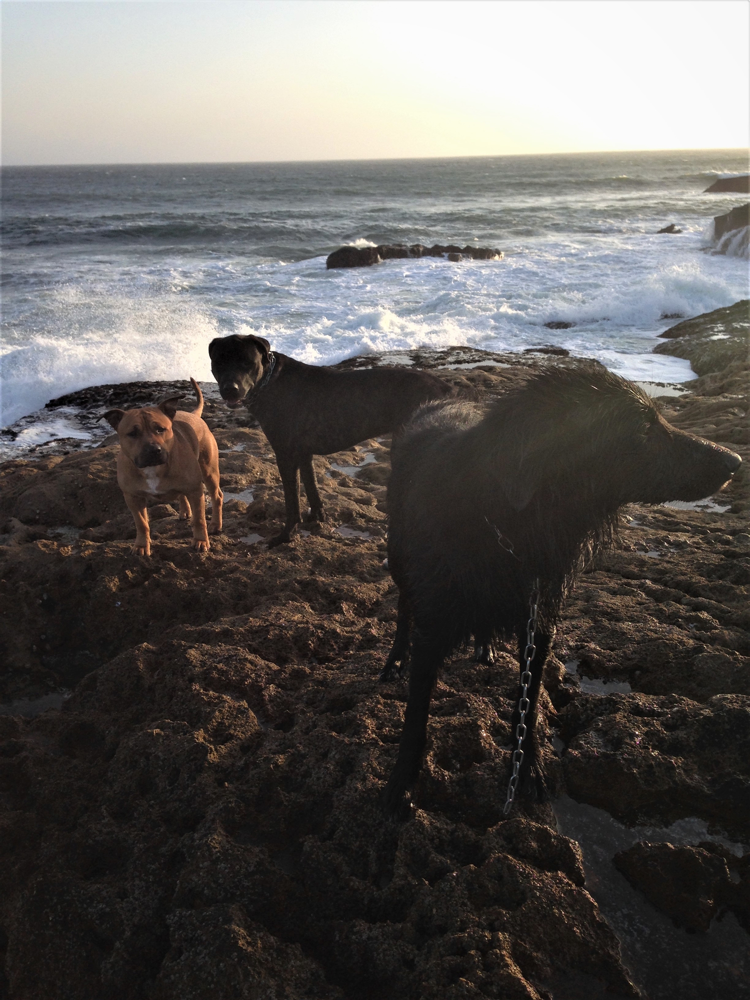 Loro tre e l' Oceano di FeelFraa