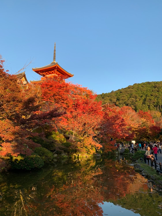 147の京都・紅葉・夕焼け・清水寺・鴨川に関するカスタム事例の投稿画像2枚目
