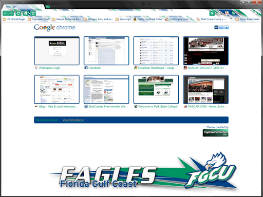 FGCU Eagles Large