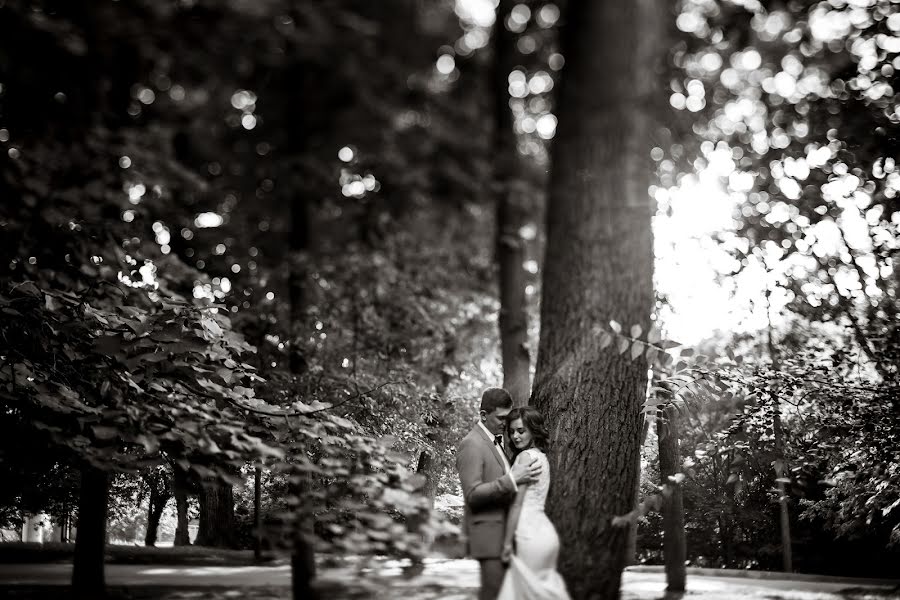 Fotografo di matrimoni Artem Bogdanov (artbog). Foto del 13 ottobre 2016