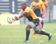 Bongi Mbonambi during the Springbok Open Training Session and Fan Engagement at Florida Park, Ravensmead on August 06, 2018 in Cape Town, South Africa. 