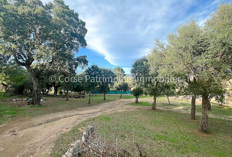  Vente Terrain à bâtir - 1 020m² à Sainte-Lucie-de-Porto-Vecchio (20144) 