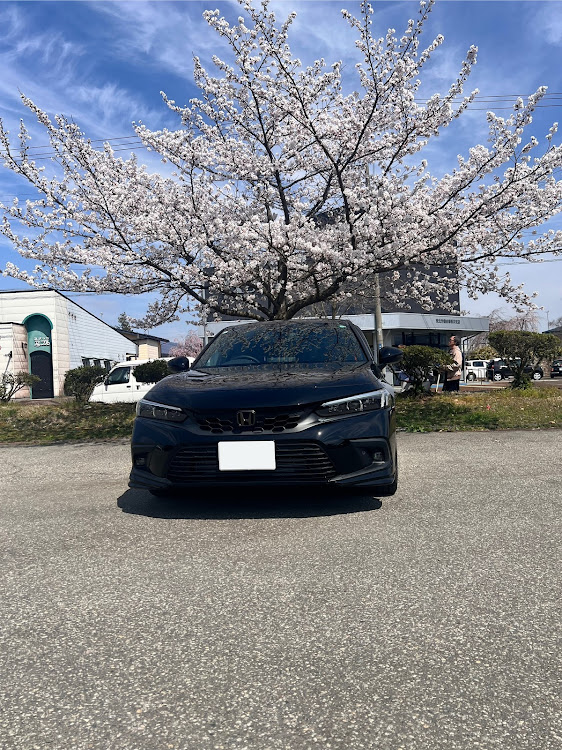 シビックの4月もよろしくお願い致します🌸・サクラと愛車・桜とコラボ・ドライブ・FL1に関するカスタム事例の投稿画像1枚目