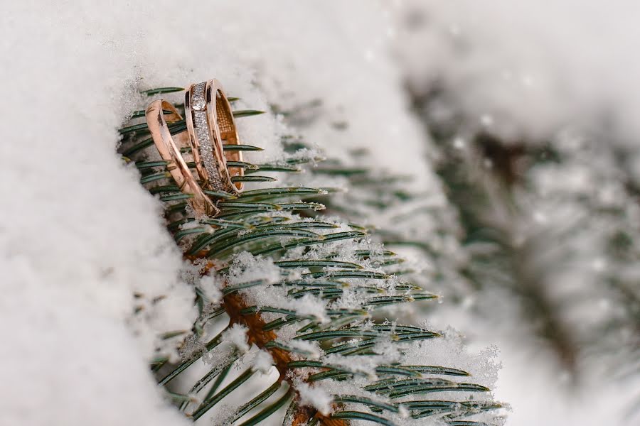 Photographe de mariage Ekaterina Manaenkova (lapick87). Photo du 29 janvier 2018