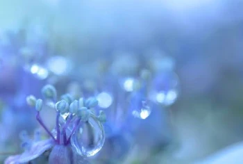 雨の日から始まった恋【最終回】