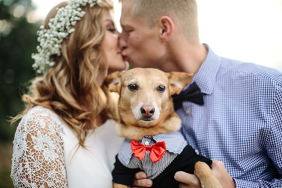 Wedding photographer Nastya Danilyuk (lisaikot1). Photo of 11 October 2014