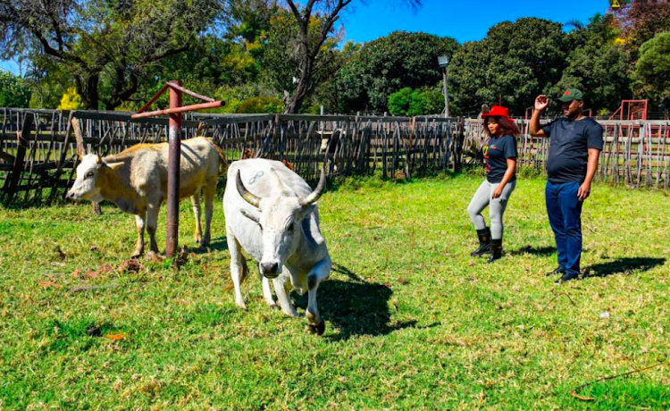 The EFF has started receiving cows ahead of its 10th anniversary.