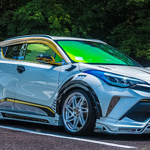 C-HR ZYX11