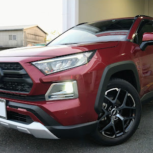 RAV4 MXAA54