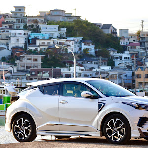 C-HR ZYX10