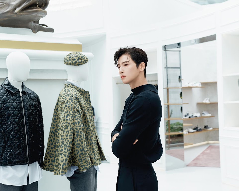 Korean actor Cha Eun-woo turns heads at Dior show in Paris Fashion Week