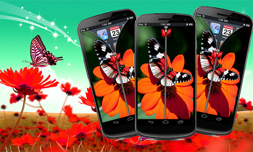 Butterfly Zipper Screen Lock