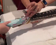 Vets remove a beach towel from the stomach of a jungle carpet python named Monty.