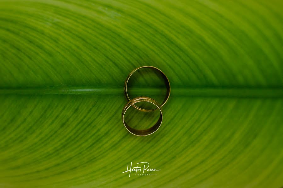 Wedding photographer Hector Parra (hectorparra). Photo of 4 April 2019