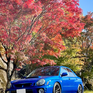 インプレッサ WRX GDA