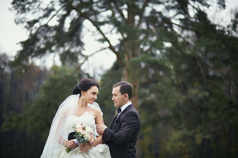 Wedding photographer Evgeniya Krasovskaya (alessa-white). Photo of 5 January 2014