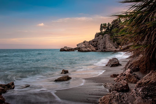 a beach with rocks and palm trees in the background