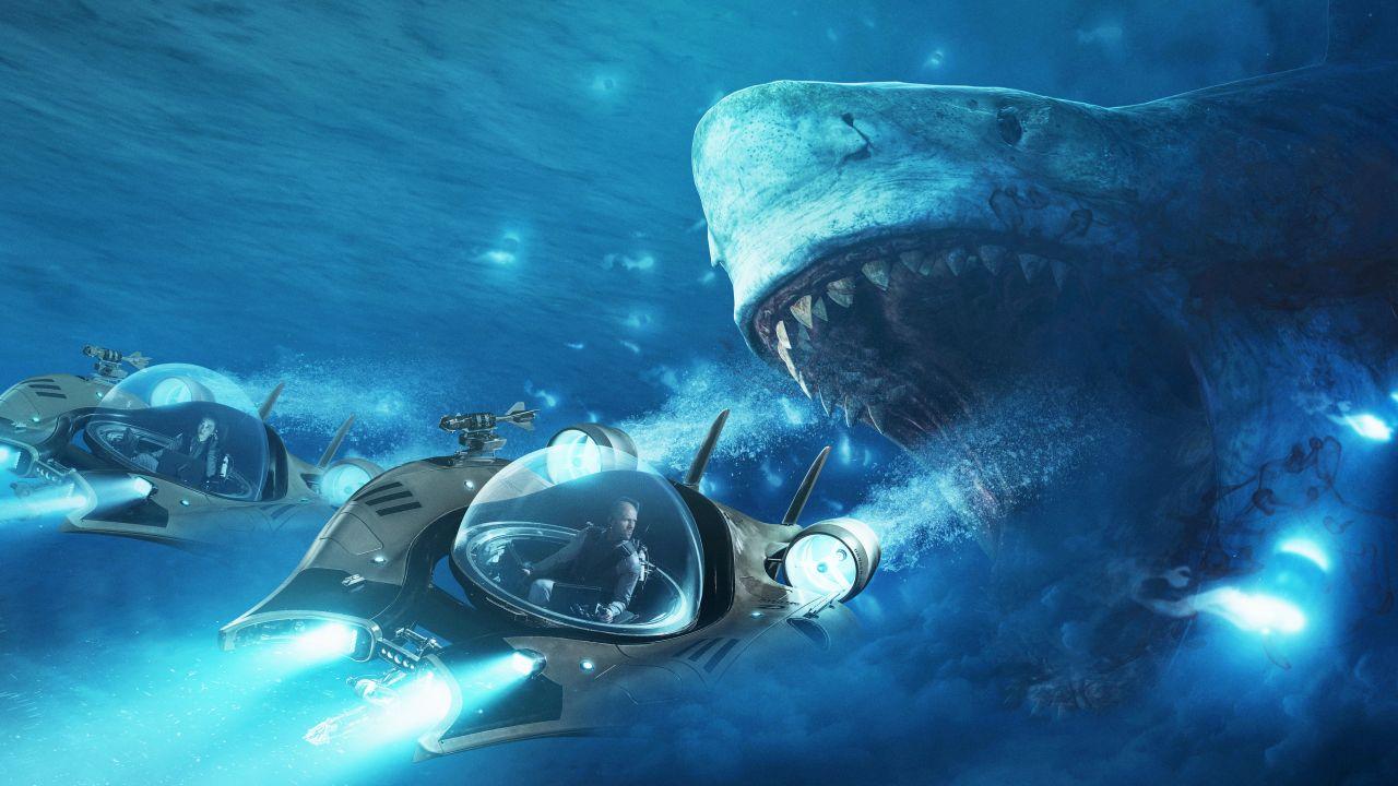 3. THE MEG  04