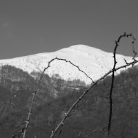 Il dolore del freddo di 