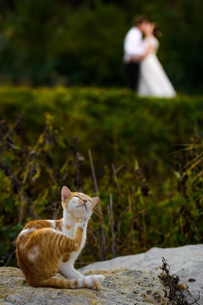 Fotografer pernikahan Vlad Pahontu (vladpahontu). Foto tanggal 11 Desember 2018