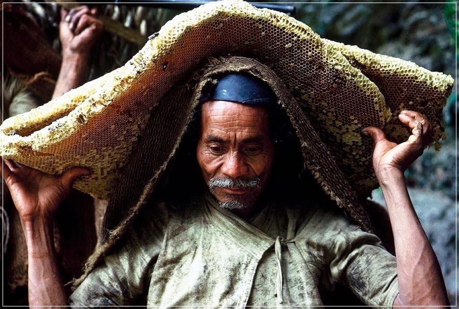 Gurung, os caçadores de mel