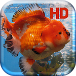 Gold Fish Aquarium Apk