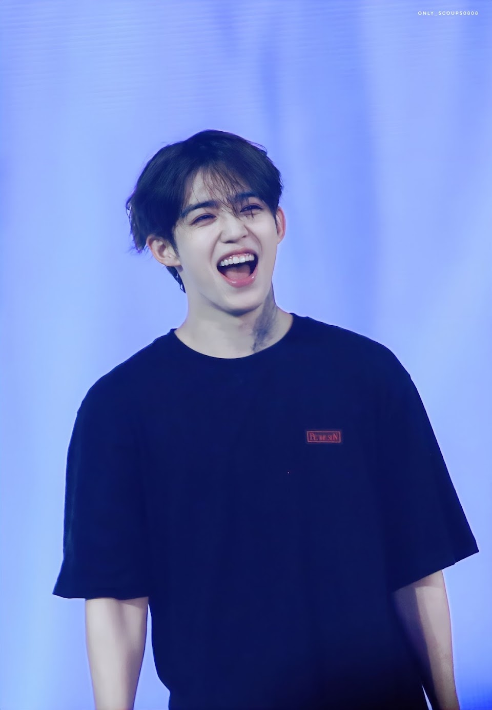 dix-sept scoups