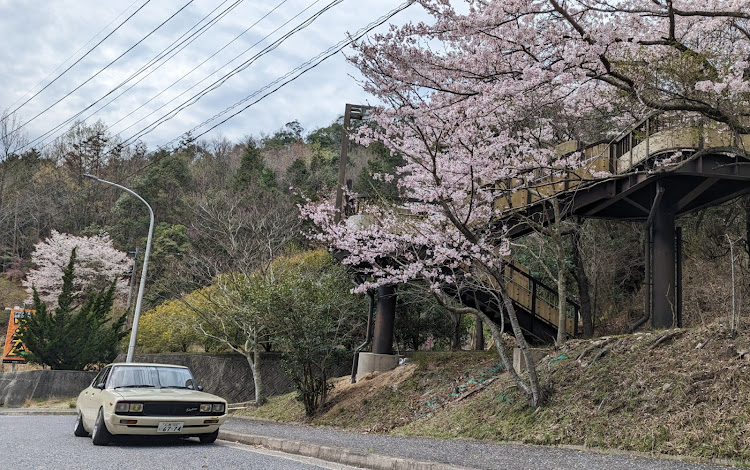 の投稿画像3枚目