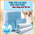 (Giao Hàng Hỏa Tốc) - Tã Lót Cho Chó Mèo Đi Vệ Sinh Vào Khay, Chuồng Bằng Giấy Siêu Thấm Hút 50, 100 Tấm Miếng