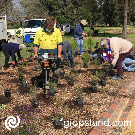 Wellington Shire Council's Parks staff and Friends of the Sale Botanic Gardens planting the Care for the Rare Living Collection