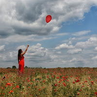 Libertà......verso l'estate di 