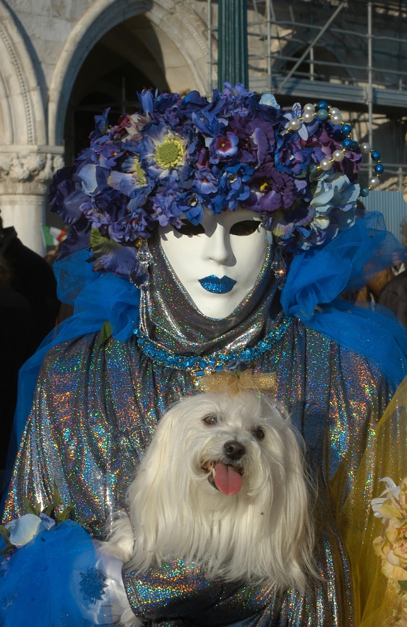 La maschera ed il cane di marco cerrai