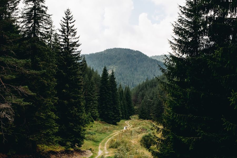 Photographer sa kasal Aleksandr Medvedenko (bearman). Larawan ni 8 Disyembre 2019