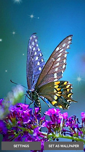 Butterfly Live Wallpaper screenshot 3