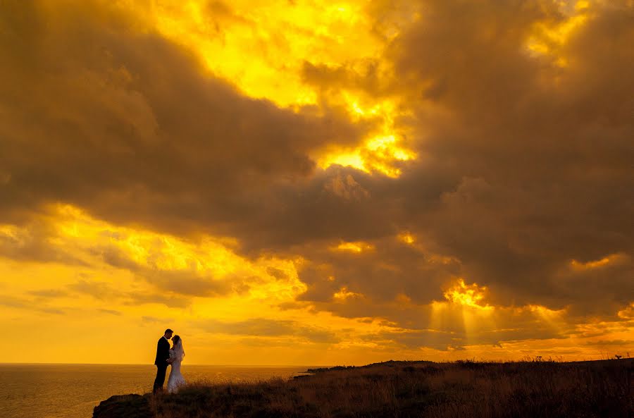 Wedding photographer Pavel Gomzyakov (pavelgo). Photo of 1 February 2014