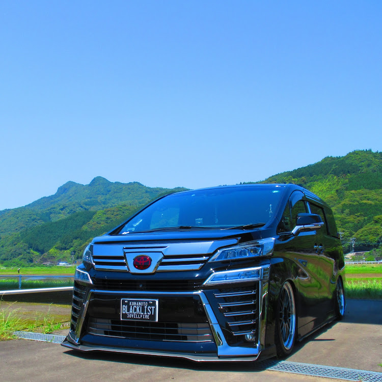 ヴェルファイアのBlack List!・How_do_you_like_Alvell・延岡市北川町・高架下・不正改造車取締月間に関するカスタム事例の投稿画像1枚目