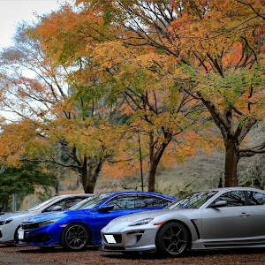 RX-8 SE3P