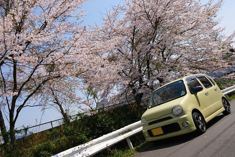 ムーヴラテの桜コラボ・親バカ炸裂に関するカスタム事例の投稿画像1枚目