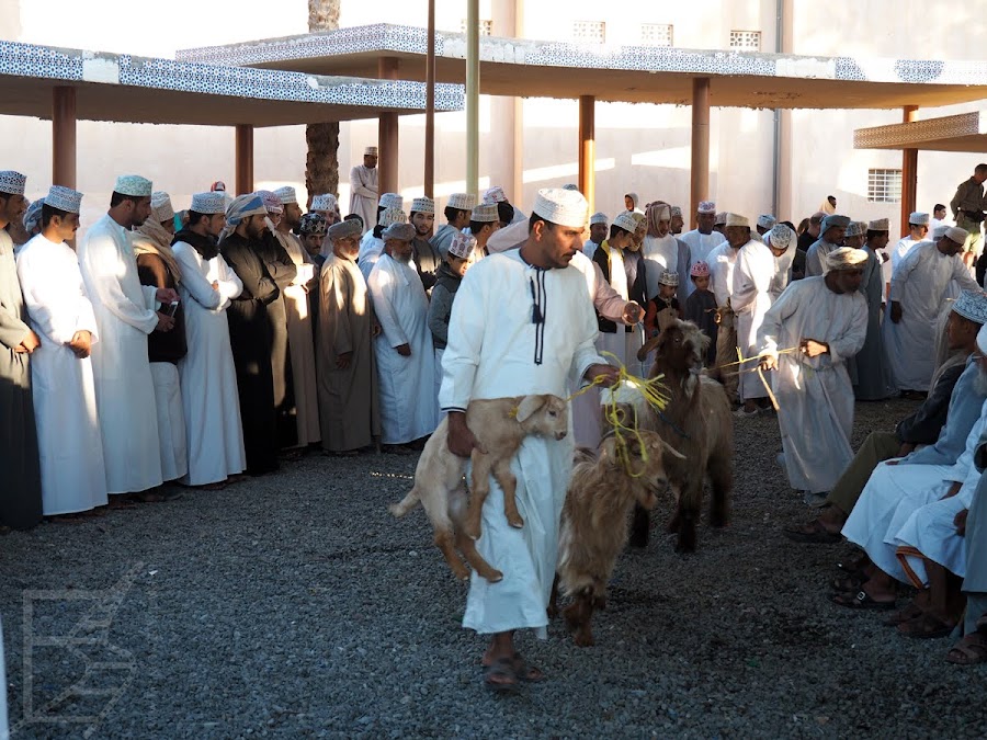 Natalia i Łukasz, filmowe-szlaki.pl, relacja z Omanu, Oman, Nizwa