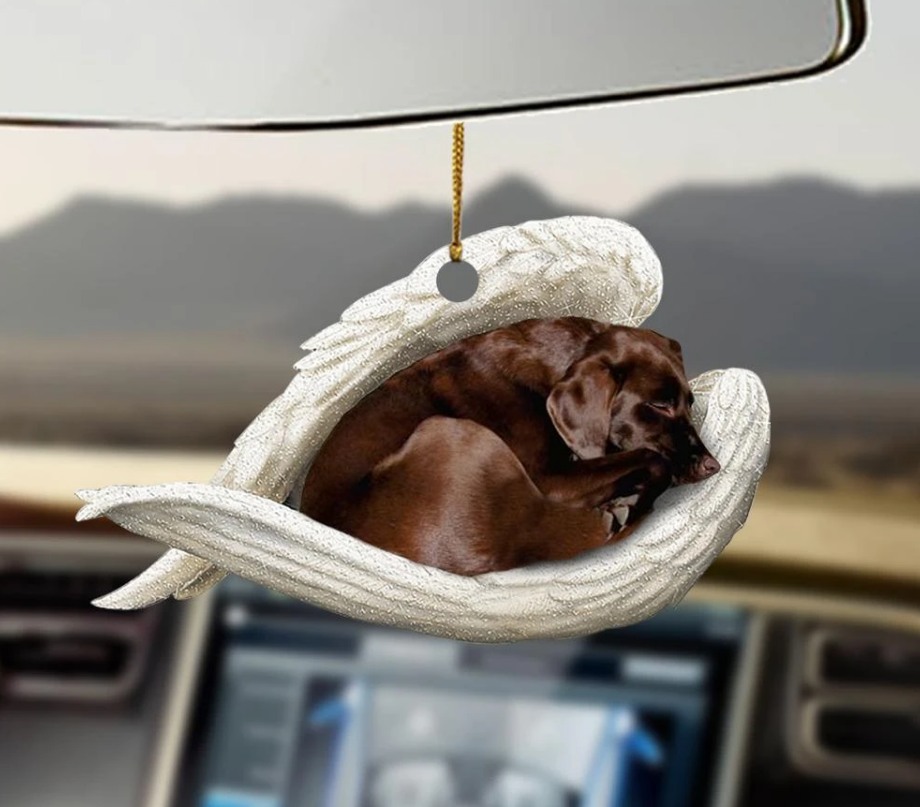 Pingente de carro Cão Dormindo Anjo Decoração de casa Acrílico Vitrine Enfeites pendurados para portas, lindo e fofo.