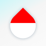 Cover Image of Download Drops: Learn Indonesian language for free! 35.21 APK