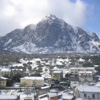 BOSCO CON LA NEVE di 