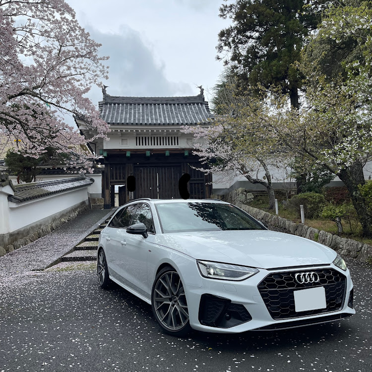 A4 アバントのサクラと愛車・桜とコラボ・トナラーに遭遇⚠️・A4オールロードクワトロに関するカスタム事例の投稿画像1枚目