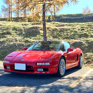 NSX NA1