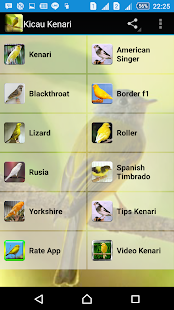 How to download Canary Song 1.1 mod apk for android