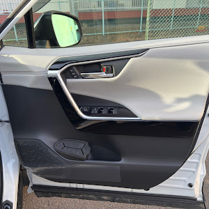 RAV4 MXAA54