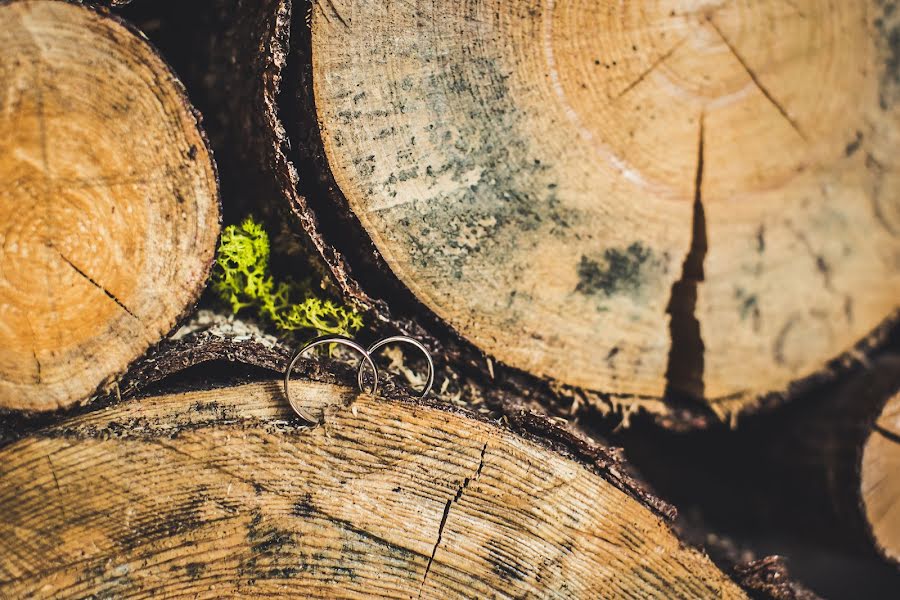 Svatební fotograf Lyuba Zholob (luba-jolob). Fotografie z 20.května 2017